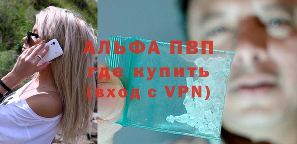 стаф Мурманск