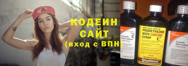 индика Нижневартовск