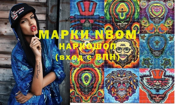 индика Нижневартовск