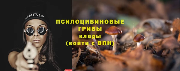 стаф Мурманск