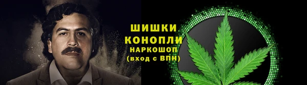 стаф Мурманск