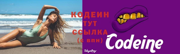 индика Нижневартовск