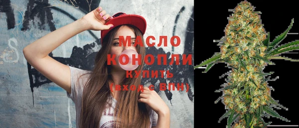 индика Нижневартовск