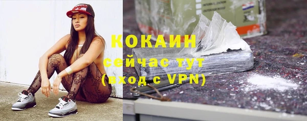 индика Нижневартовск